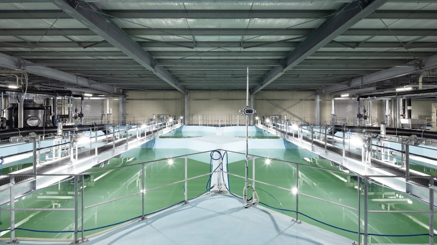 マンションから食料生産、<br>プラント規模で、<br>あらゆる建設物に挑戦。